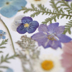 Erbario Fioritura Floreale A3