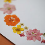 Herbier Sérénade Florale A4
