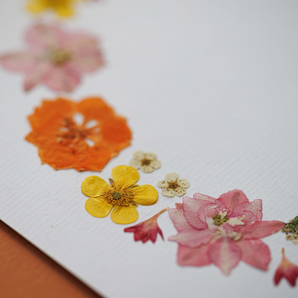 Herbier Sérénade Florale A4