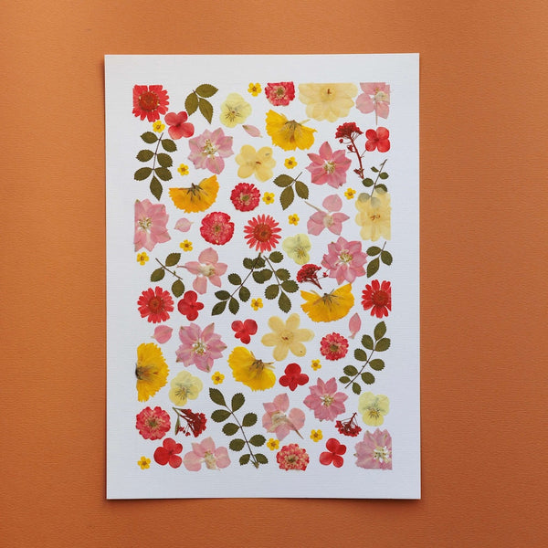 Jardin De Douceur Herbarium A4