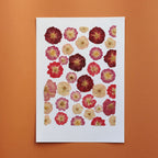 Lovers' Garden A4 Herbarium