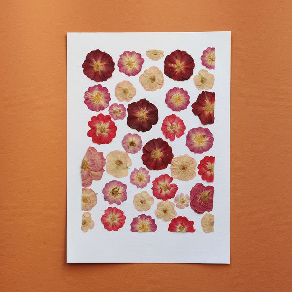 Lovers' Garden A4 Herbarium