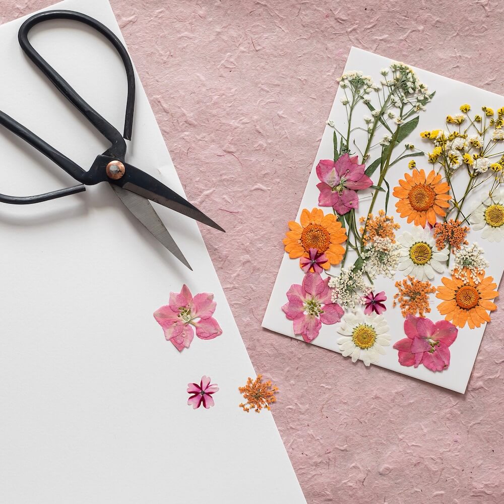 DIY Alphabet Herbarium Kit Pink