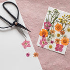 DIY Alphabet Herbarium Kit Pink