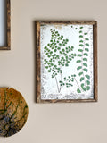 Tipper - Framed Illustration - Green - Pine