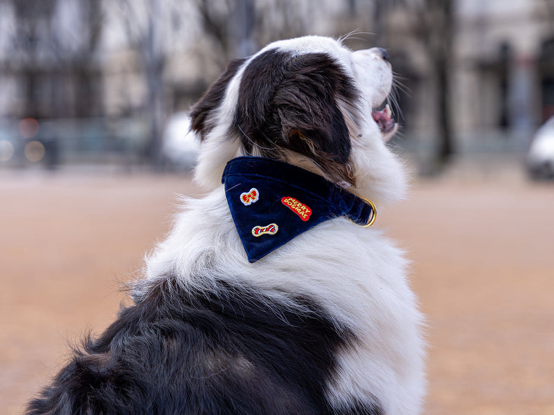 Bandana De Noël En Velours Bleu - Chien