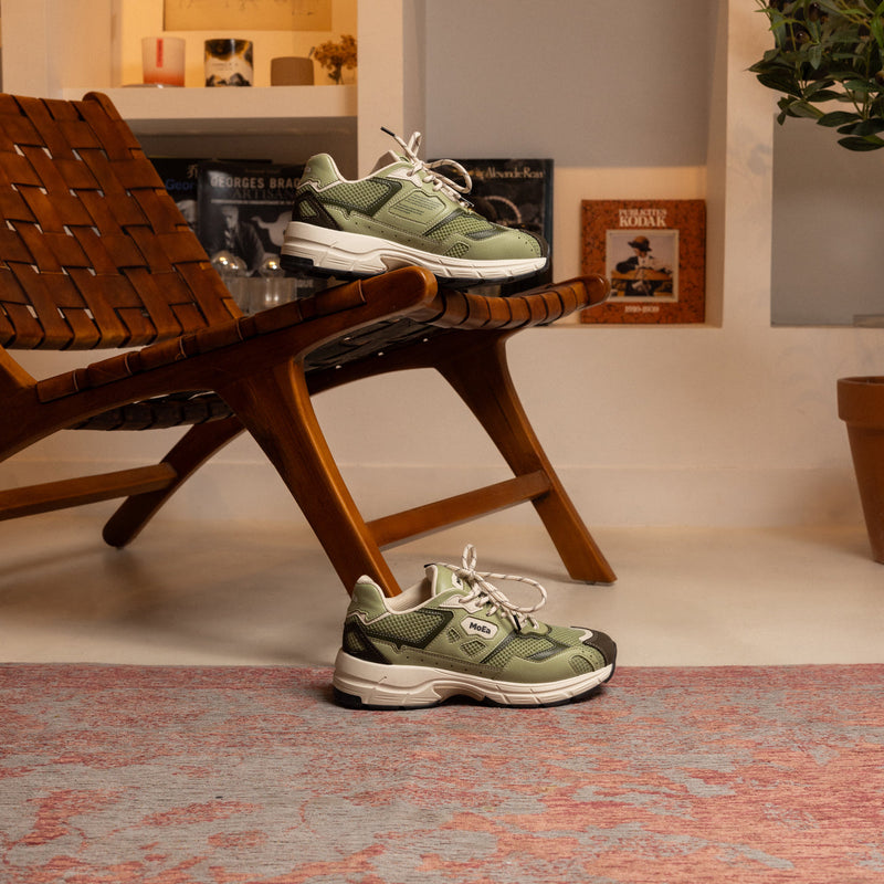 Baskets Gen8 - Cactus Full Aloe