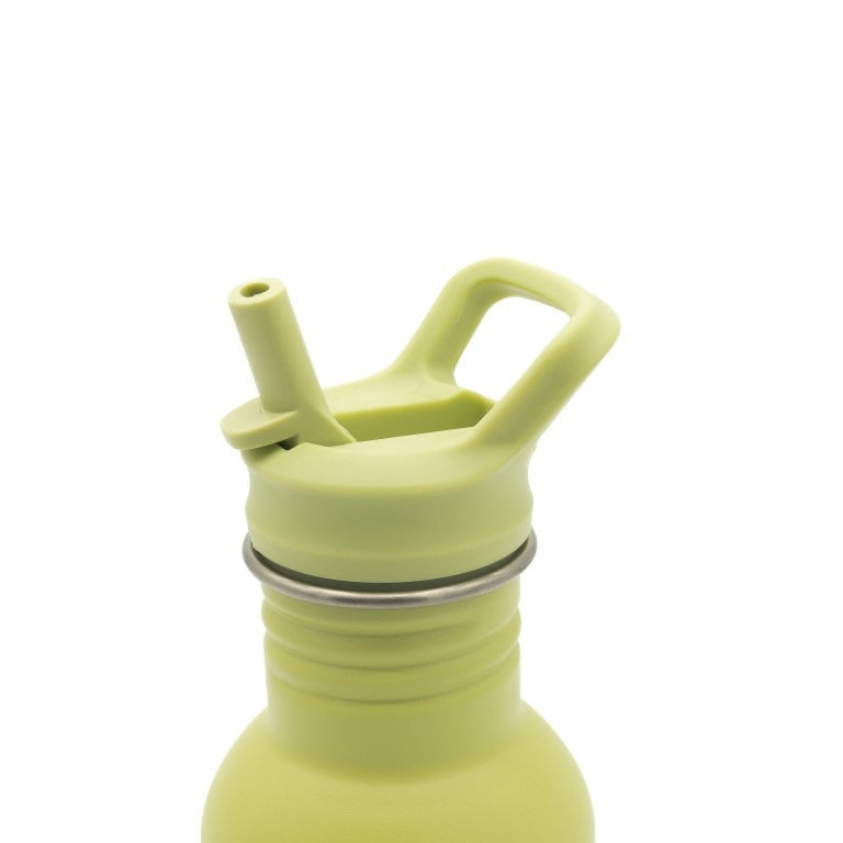 Botella 500 ml - El dinosaurio