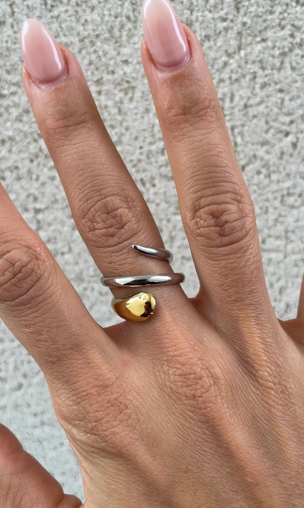 Ring Bicolor Snake