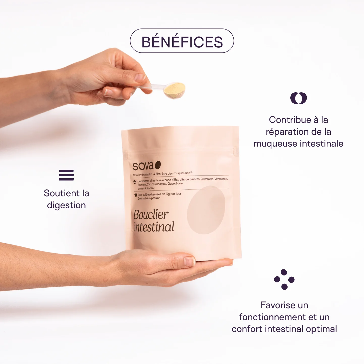 Escudo intestinal - Permeabilidad intestinal