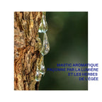 Eau De Toilette Blue Aegean - 50 ml