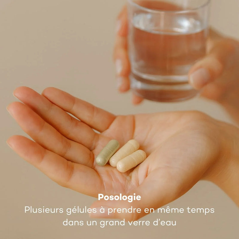 Programme Ventre-Plat 3 Mois