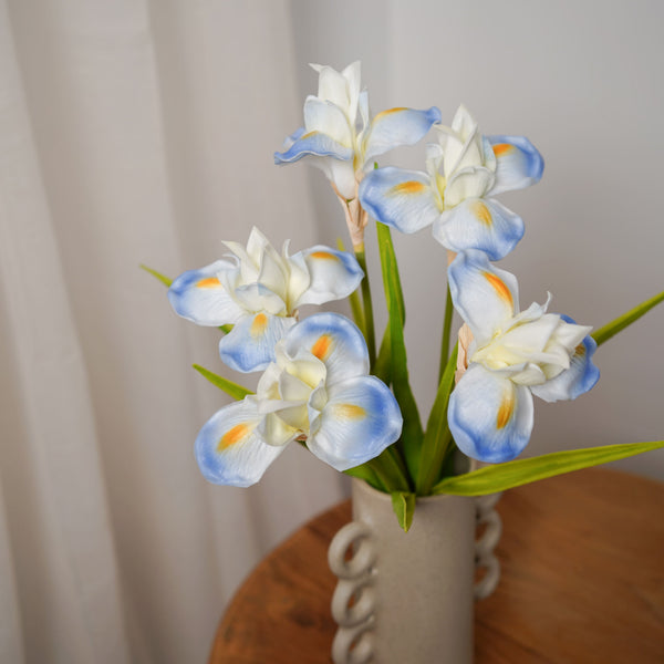 Artificial Blue Iris