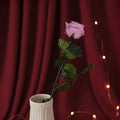 Rose Rose Stabilisée