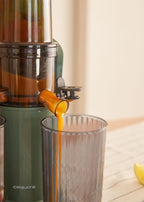 Juicer Slow Mini - Extractor De Zumo Lento 150 W - Verde Salvia