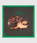 Jw Anderson - Foulard Navy Green - Femme