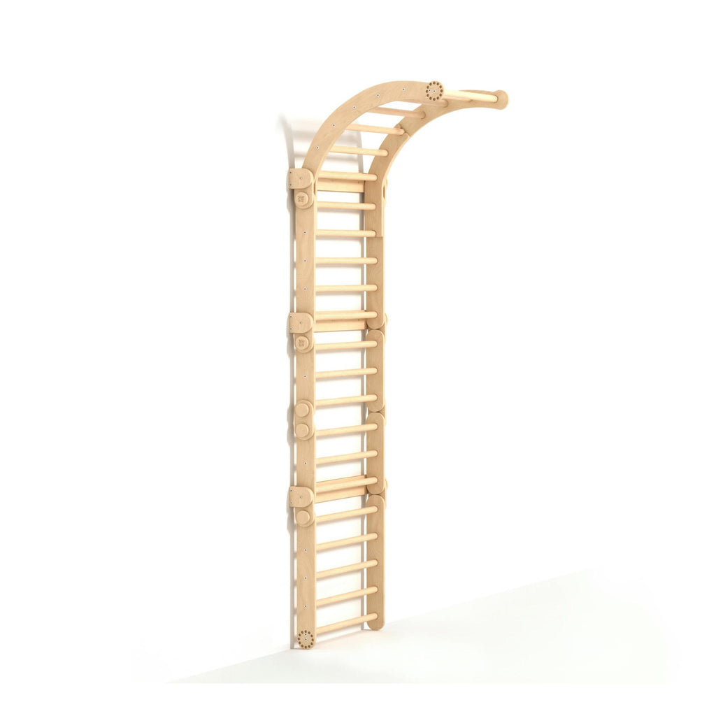 Grand Mur D'Escalade Inclinable – Mur Suédois