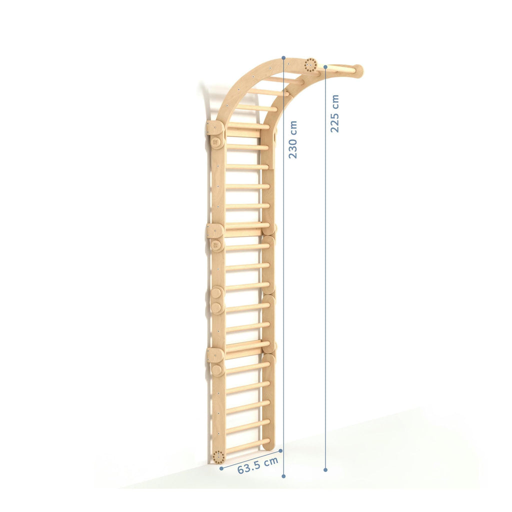 Grand Mur D'Escalade Inclinable – Mur Suédois