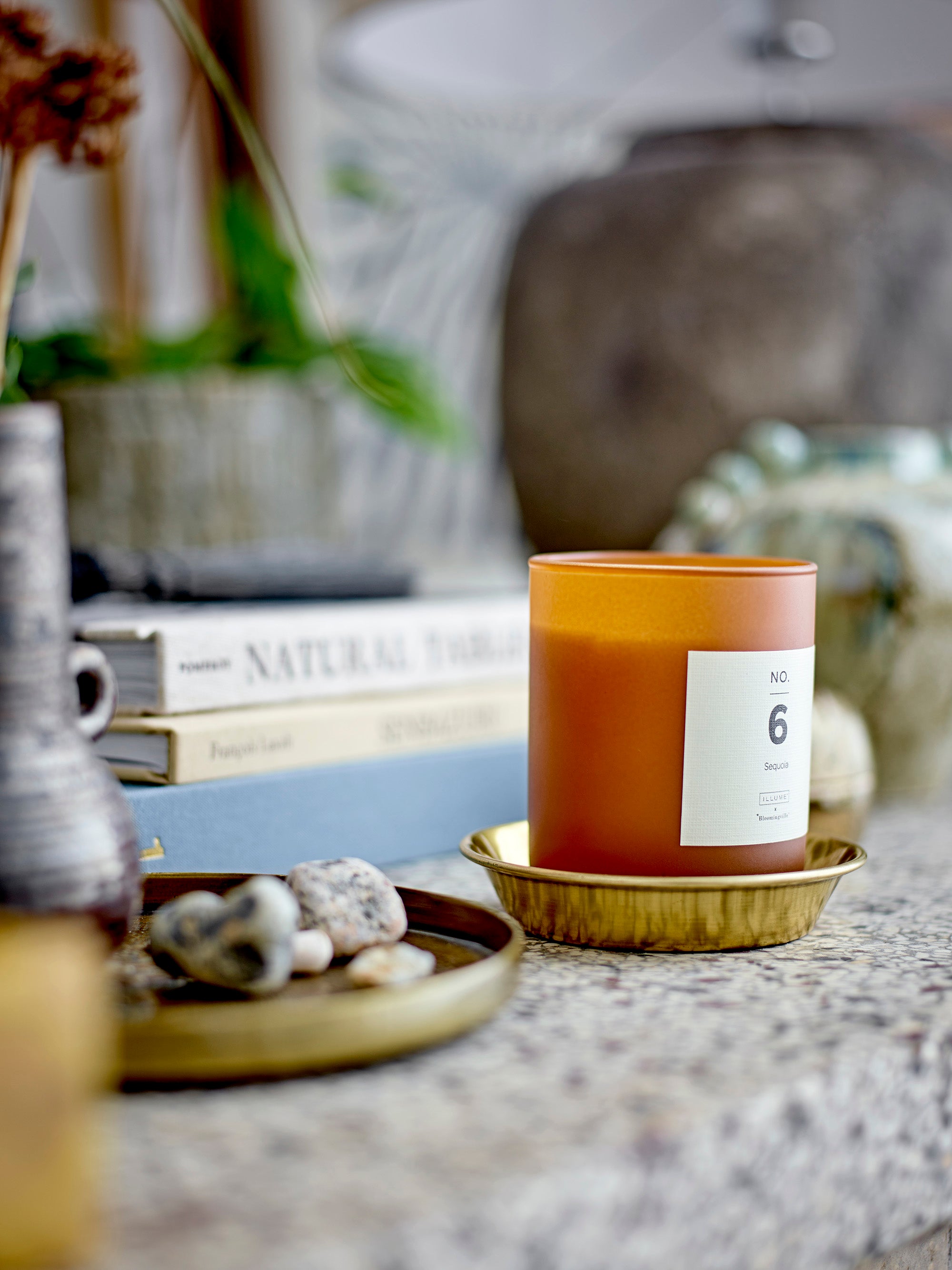 No. 6 - Sequoia - Vela Perfumada - Marrón - Cera Natural