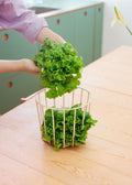 Kitchenware Studio - Large Metal Basket with Non-Slip Base - Sand