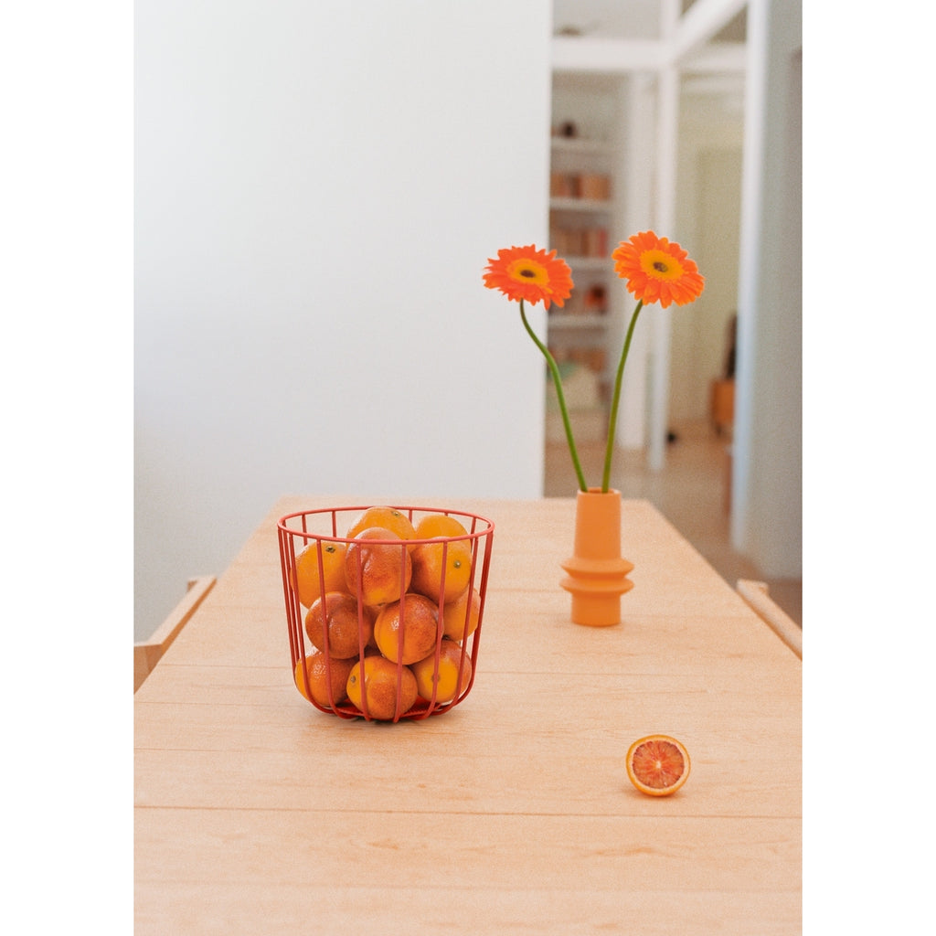 Kitchenware Studio - Cesta Metálica Grande Con Base Antideslizante - Terracota