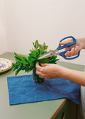 Kitchenware Studio - Ciseaux De Cuisine - Bleu Cobalt