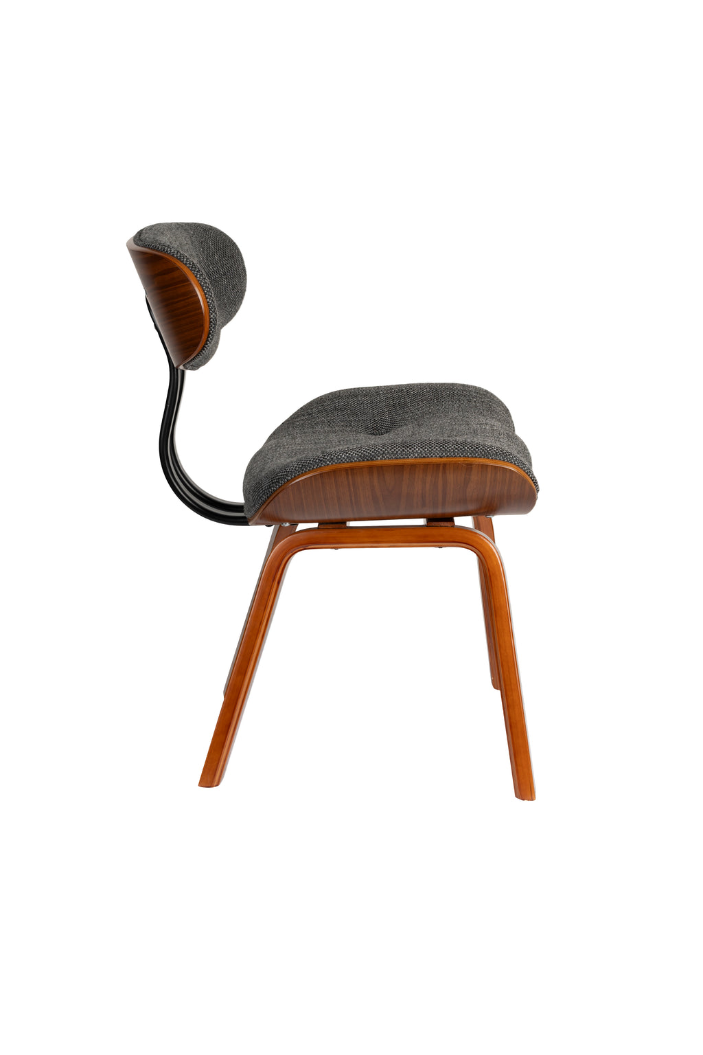 Blackwood - Chair - Bent poplar wood - Gray