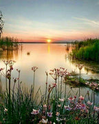 Paint By Numbers - Peaceful Lake