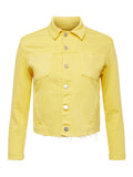 Janelle Slim Raw Jacket