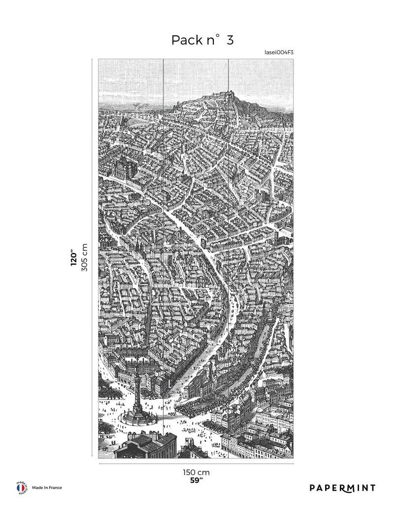 Fresque La Seine - Anthracite