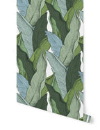 Leaf Wallpaper - Green/White Background