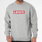 Polera Hombre T3 Relaxed Graphic Crew Levi'S