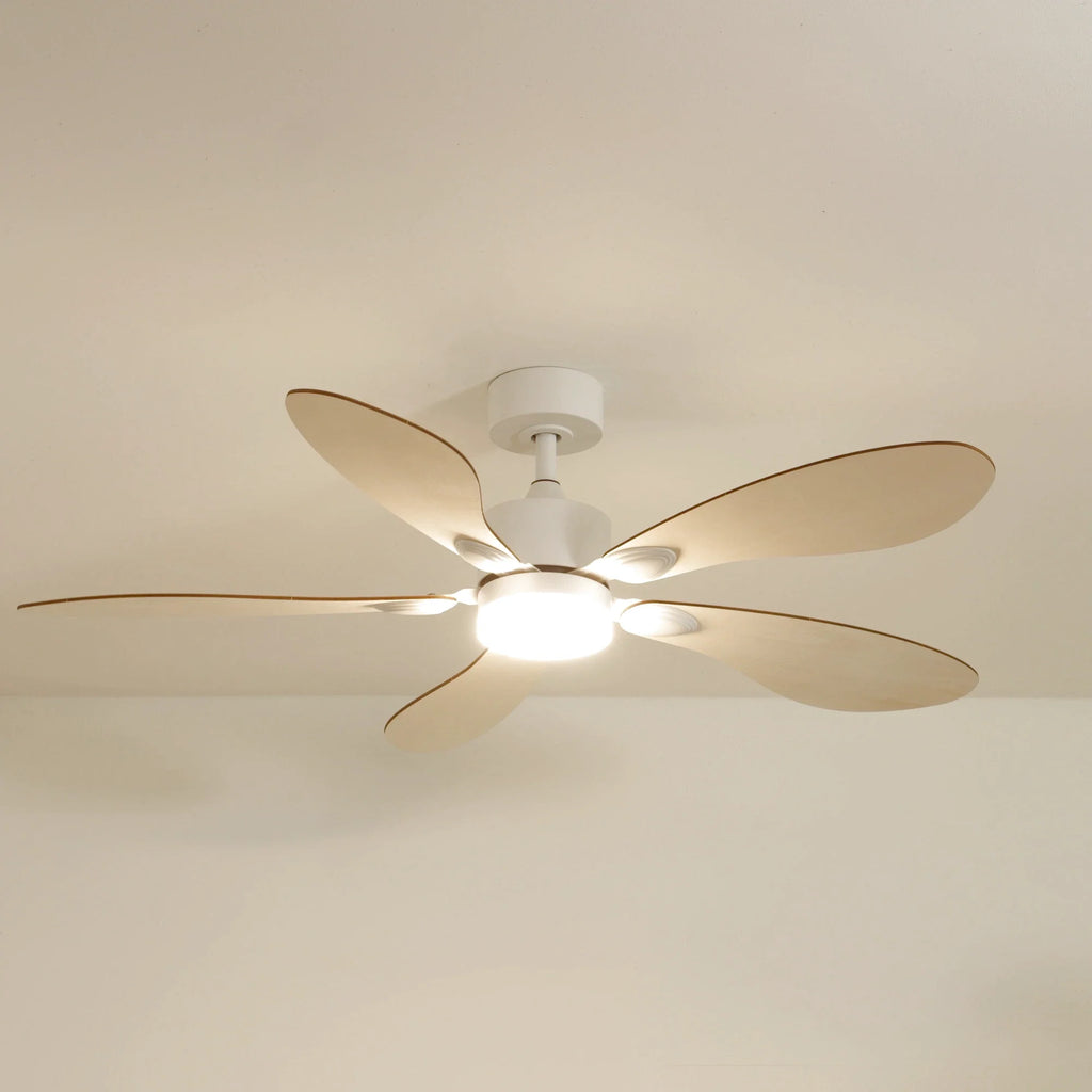 Libellule | Ventilador De Techo – Ø 137 Cm