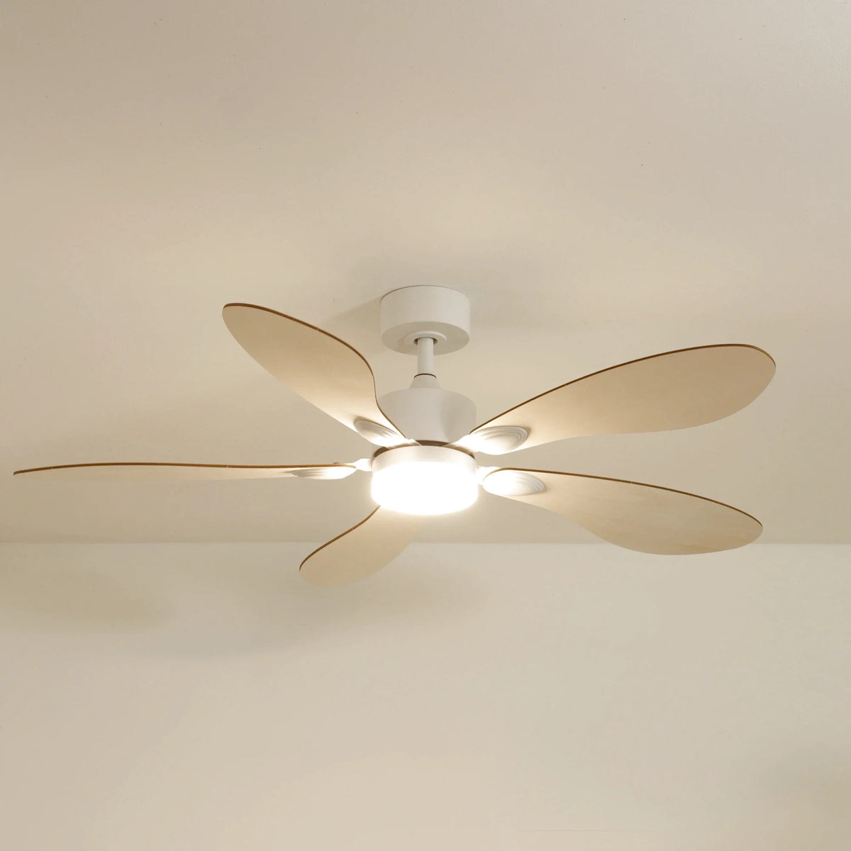 Libellule | Ventilador De Techo – Ø 137 Cm