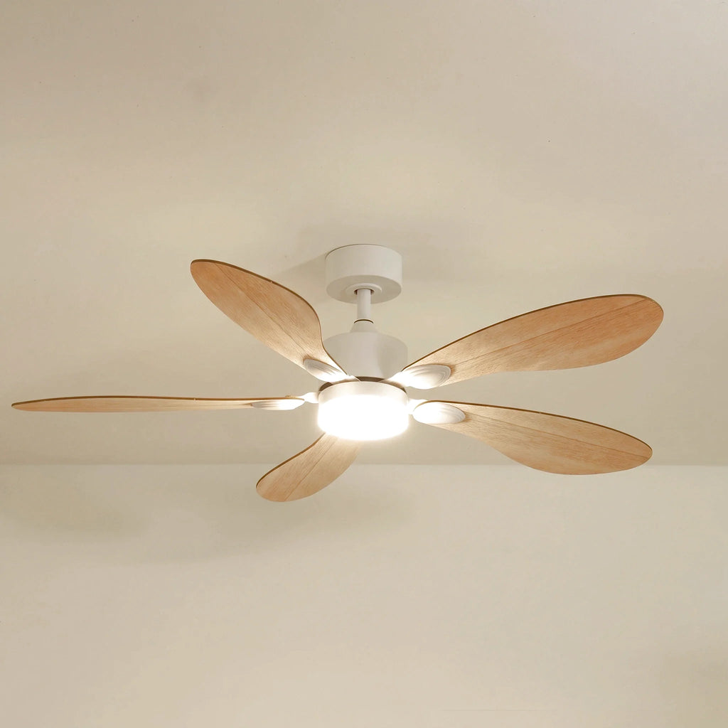 Libellule Teinté Chêne | Ventilateur De Plafond – Ø 137 Cm