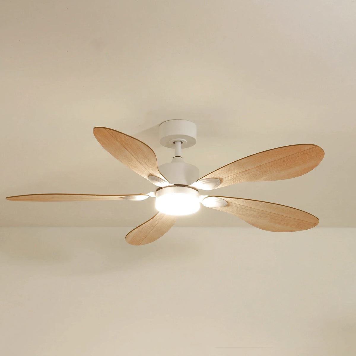 Libellule Teinté Chêne | Ventilateur De Plafond – Ø 137 Cm