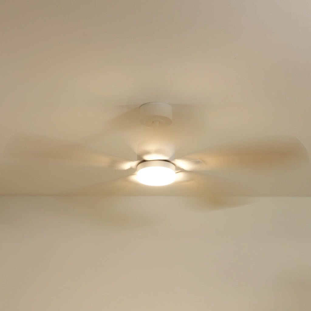 Libellule Teinté Chêne | Ventilateur De Plafond – Ø 137 Cm
