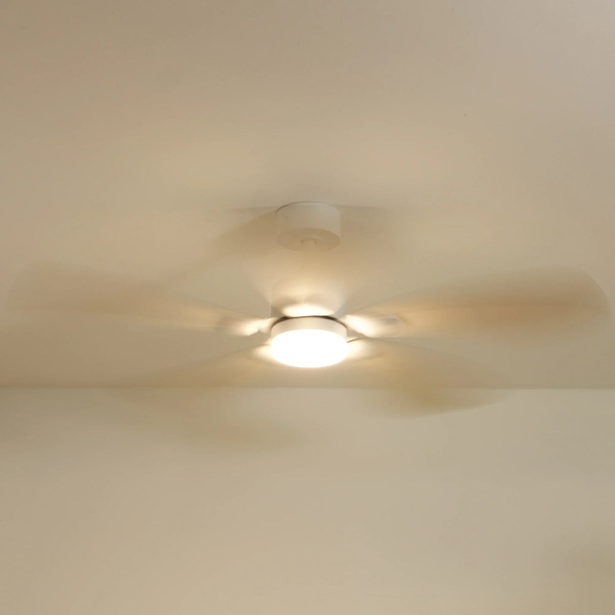 Libellule Teinté Chêne | Ventilateur De Plafond – Ø 137 Cm