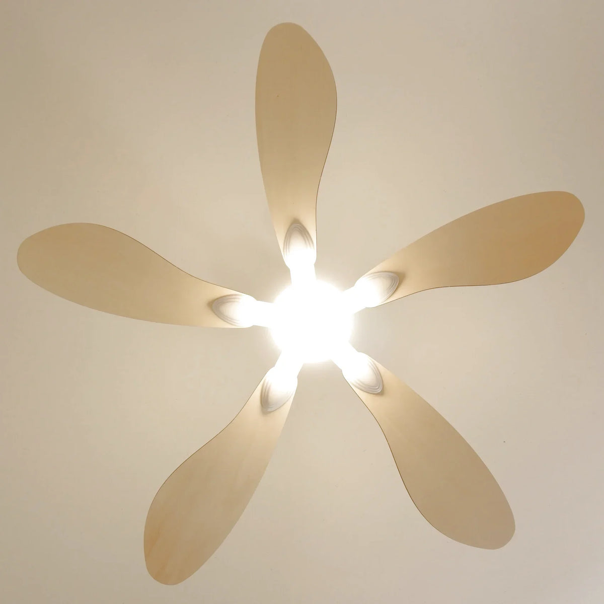 Libellule | Ventilador De Techo – Ø 137 Cm