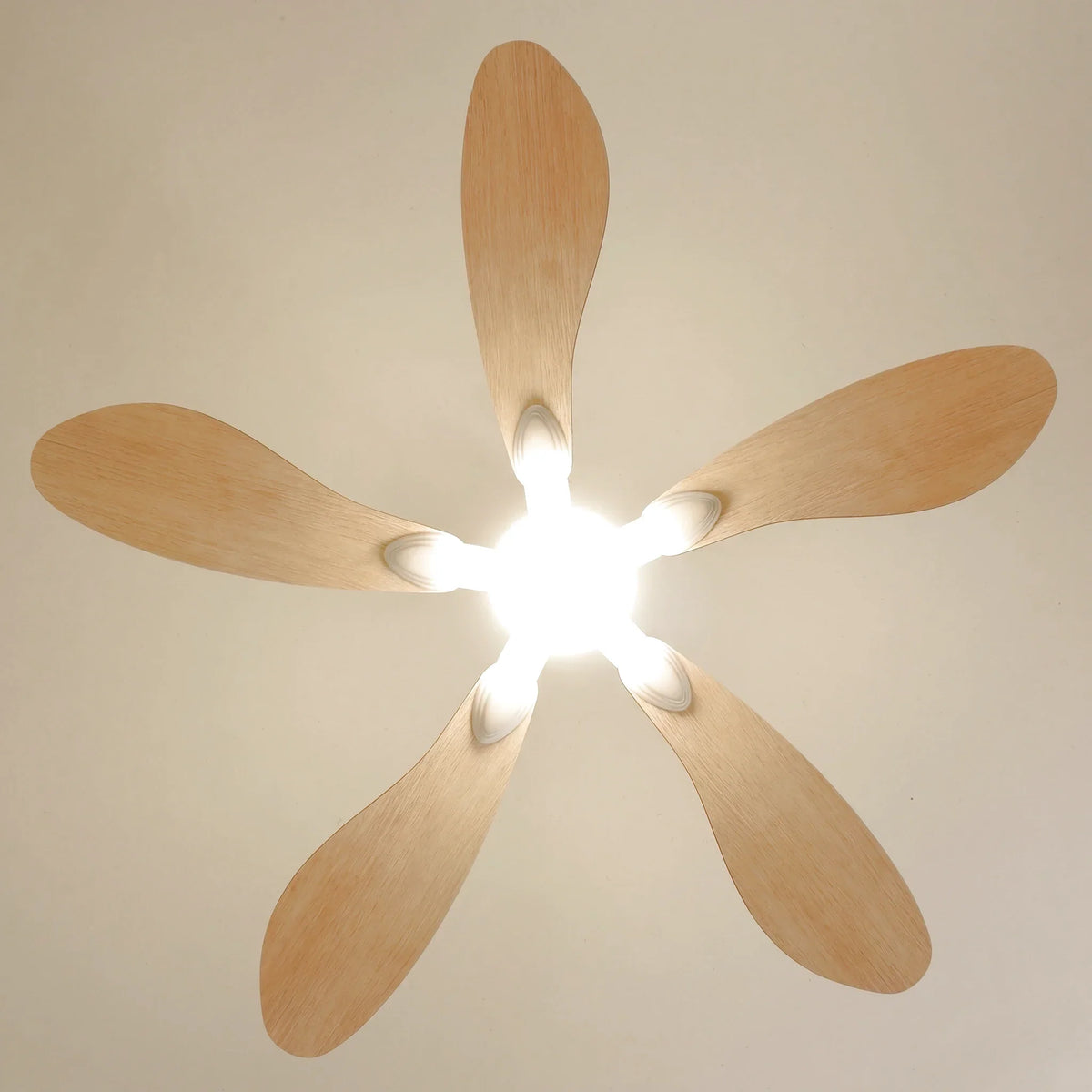Libellule Teinté Chêne | Ventilateur De Plafond – Ø 137 Cm
