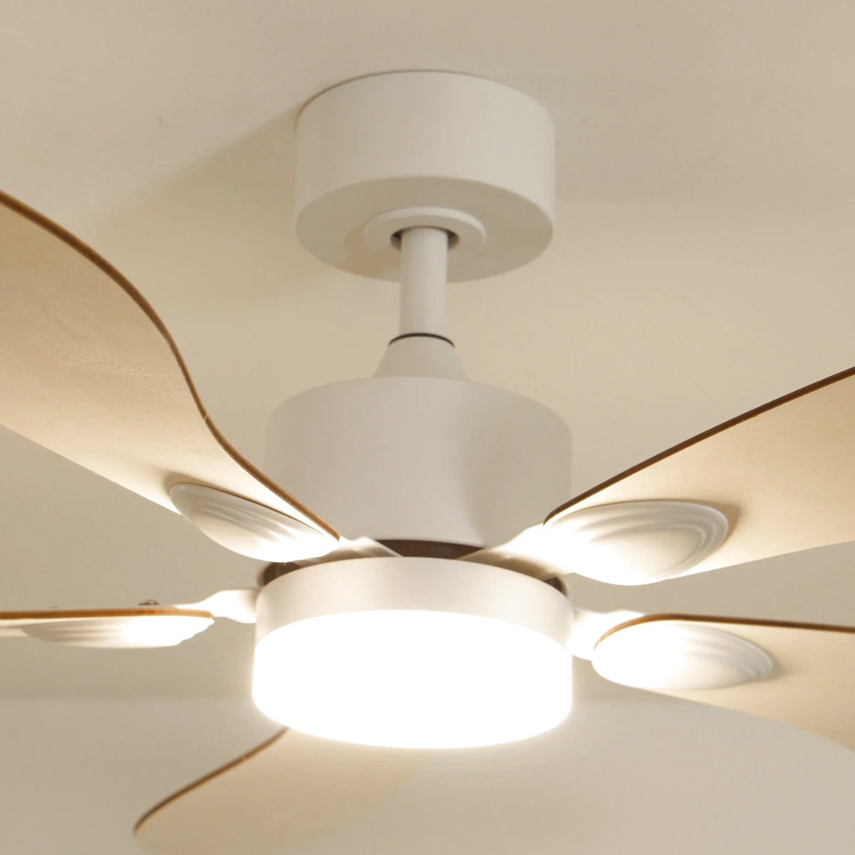 Libellule | Ventilador De Techo – Ø 137 Cm