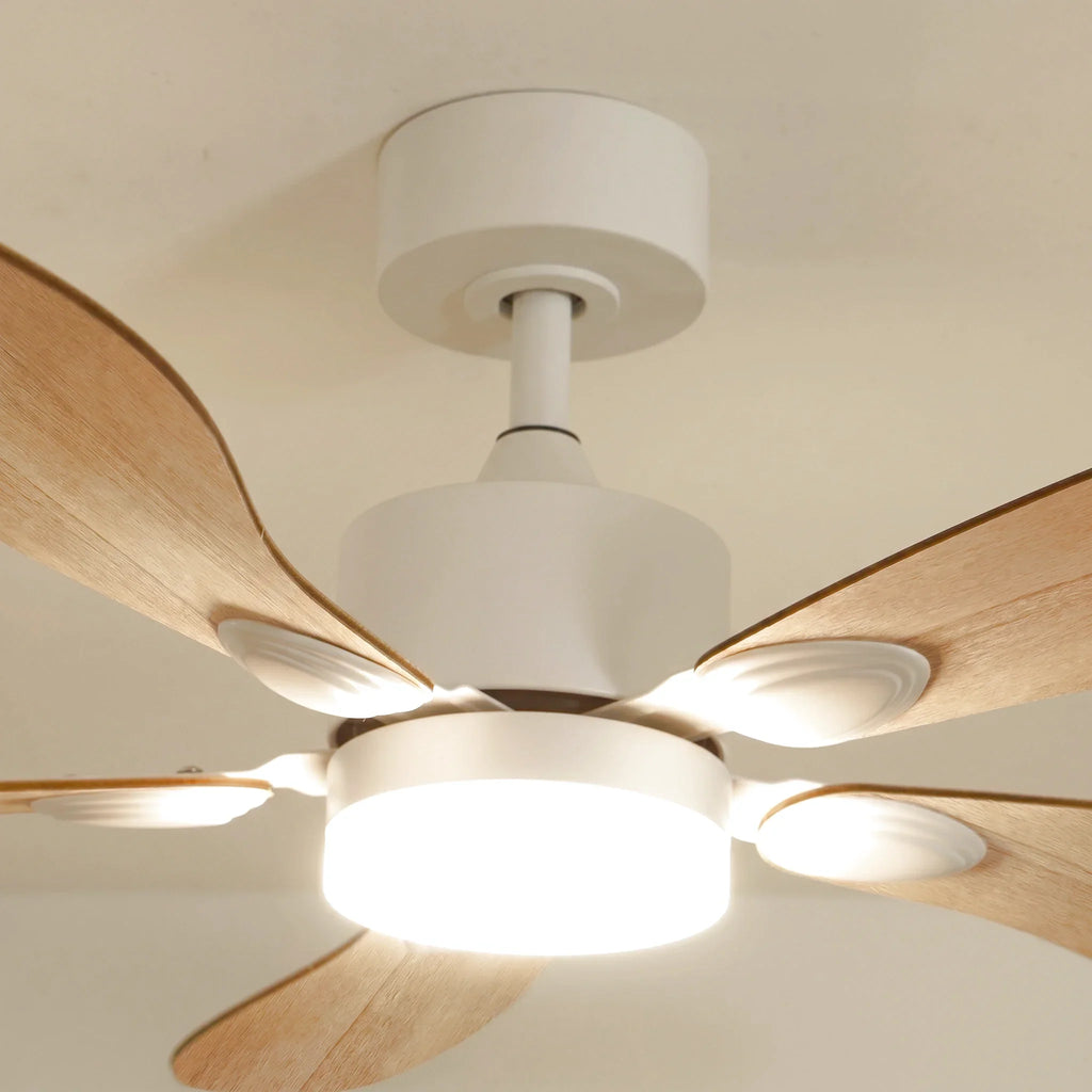 Libellule Teinté Chêne | Ventilateur De Plafond – Ø 137 Cm