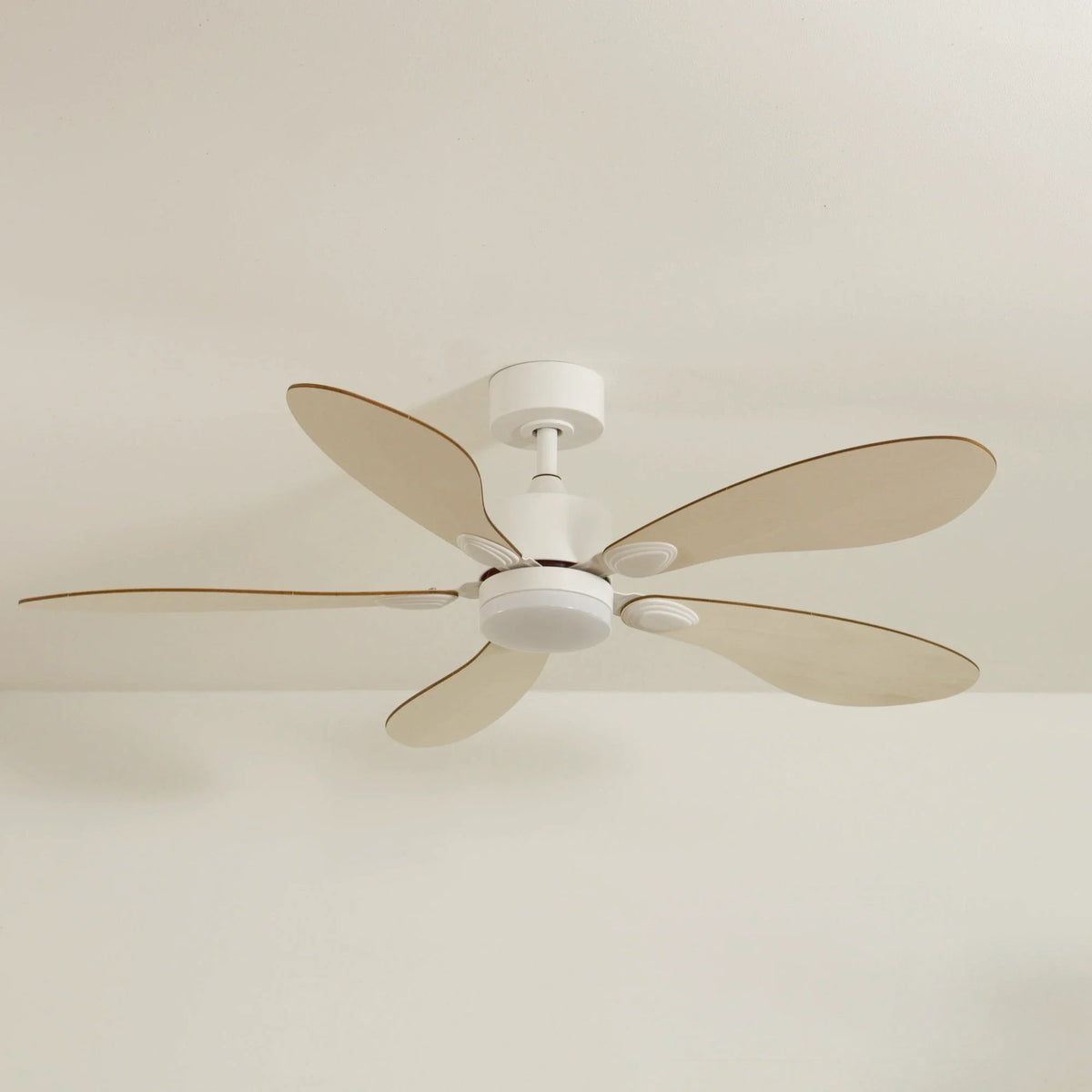 Libellule | Ventilador De Techo – Ø 137 Cm
