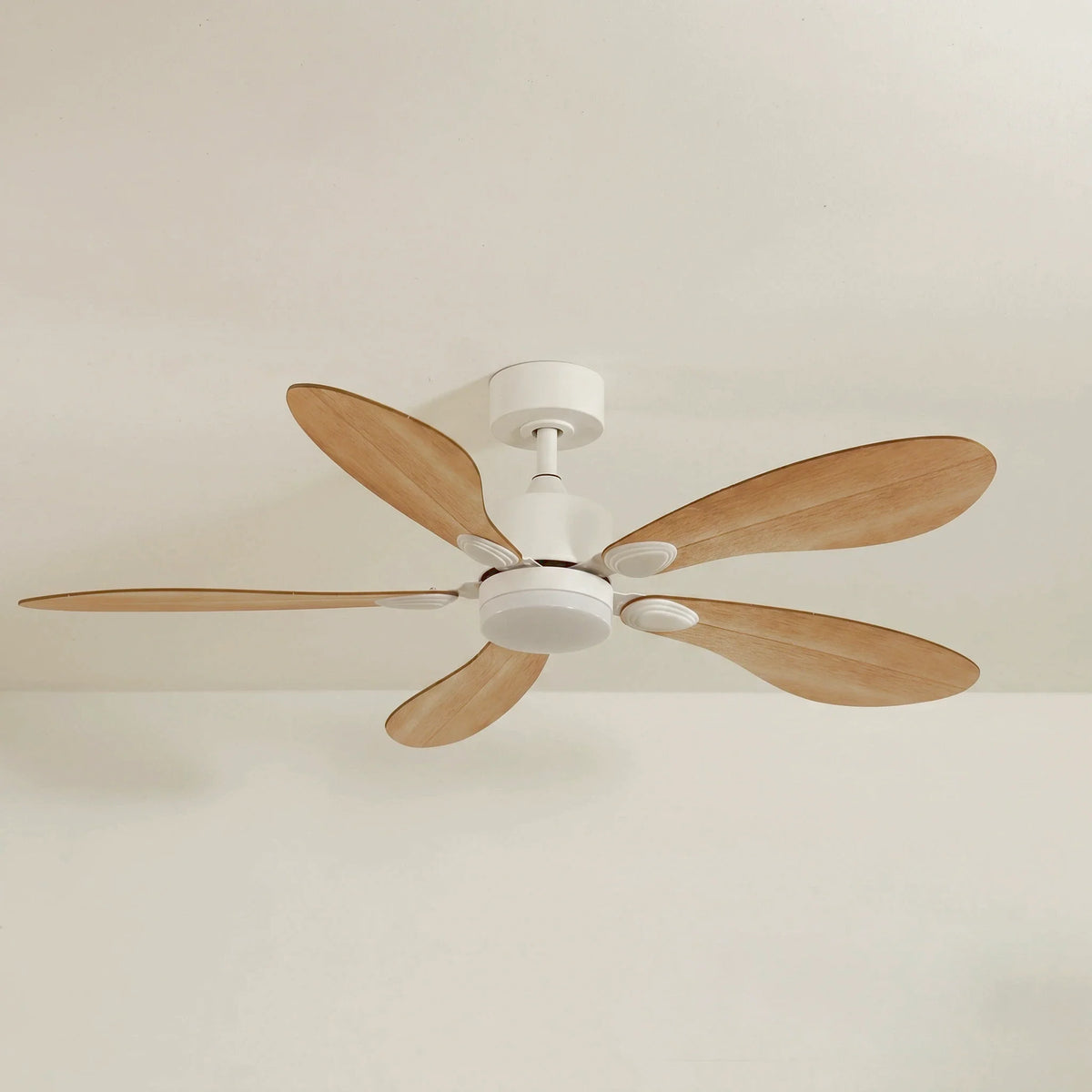 Libellule Teinté Chêne | Ventilateur De Plafond – Ø 137 Cm