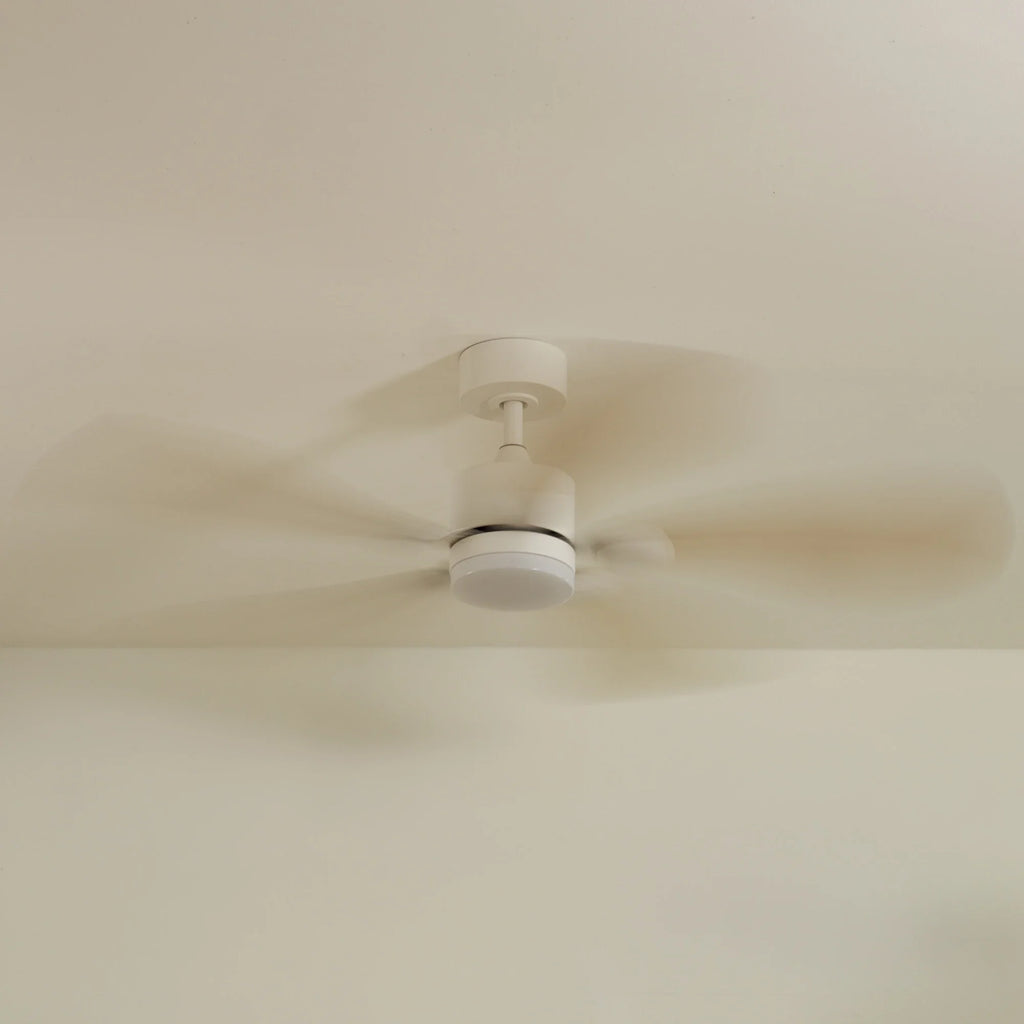 Libellule Teinté Chêne | Ventilateur De Plafond – Ø 137 Cm