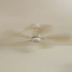 Libellule Teinté Chêne | Ventilateur De Plafond – Ø 137 Cm
