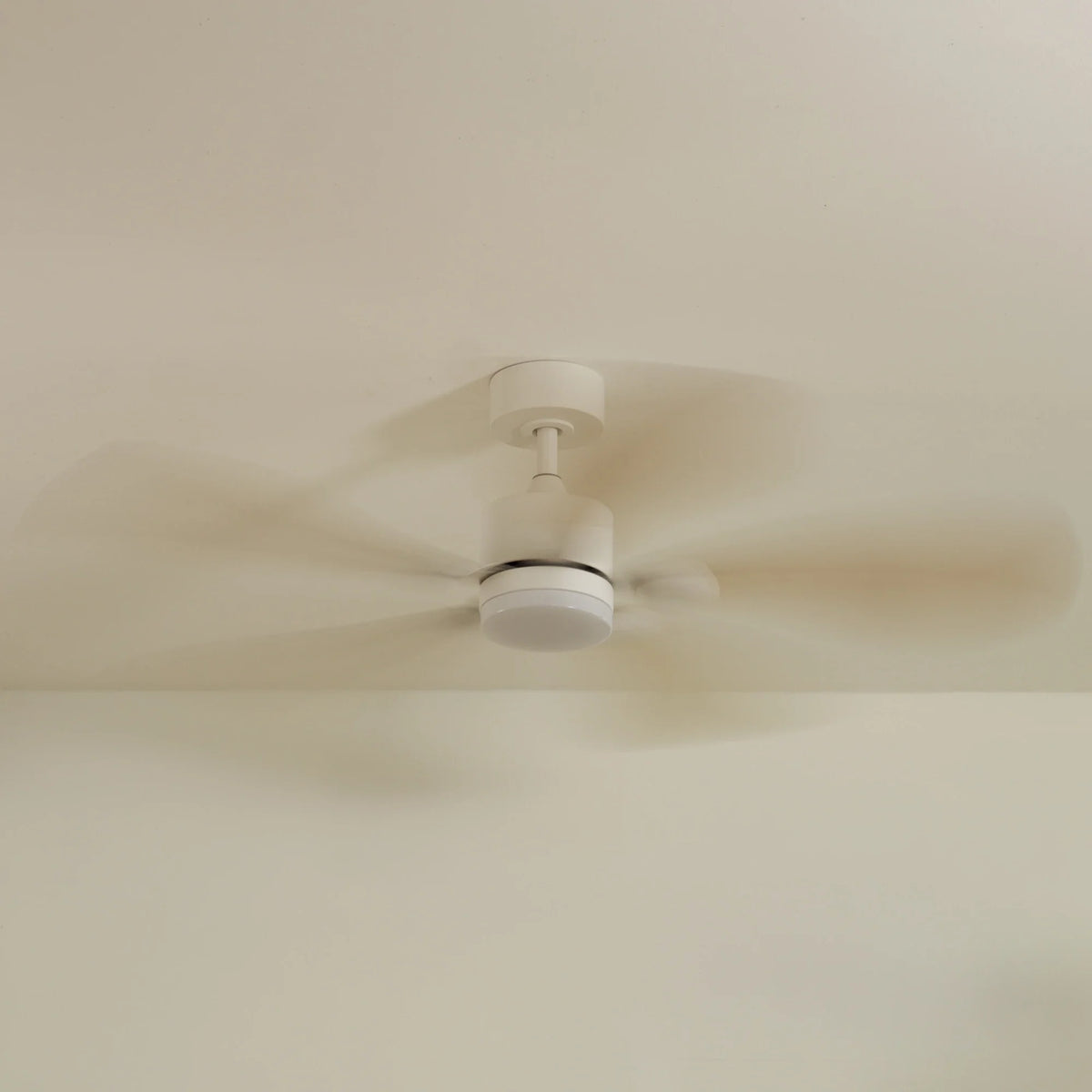 Libellule Teinté Chêne | Ventilateur De Plafond – Ø 137 Cm
