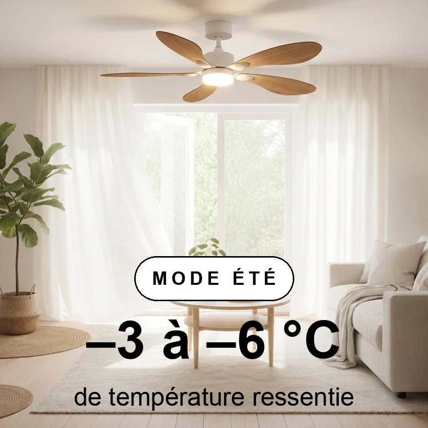 Libellule Teinté Chêne | Ventilateur De Plafond – Ø 137 Cm