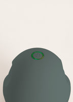 Lint Remover - Electric Lint Brush 5W - Sage Green