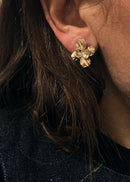 Boucles D'Oreilles Lipa - Paire